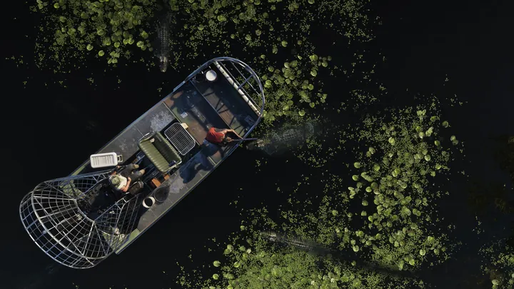 Grassrivers 03 — GTA VI screenshot